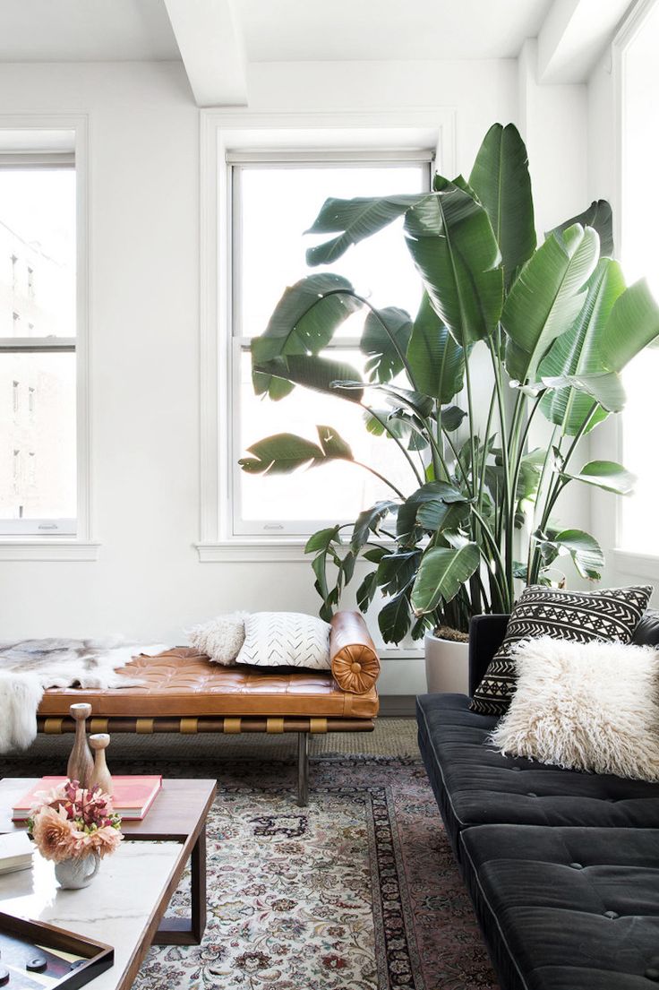 10 cách bố trí cây xanh trong thiết kế nội thất nhà ở - Zebra Design
